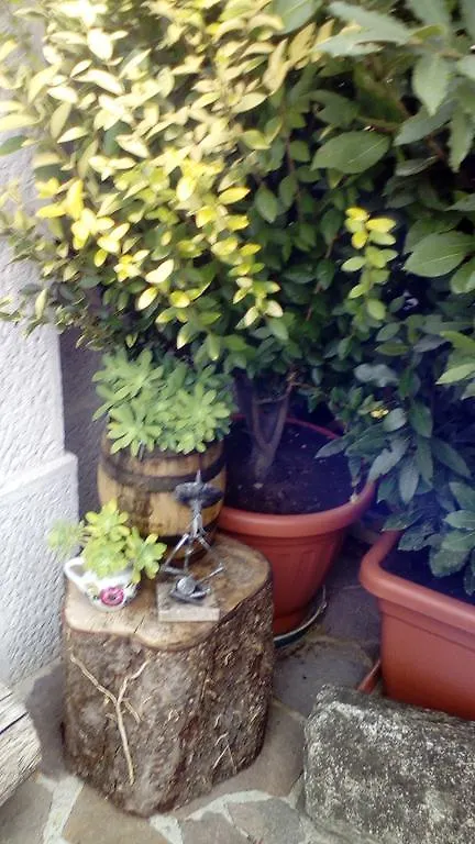 B&B il Gelsomino Martinengo 3*,  Italien